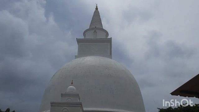 Прогулка по Аругам Бэй и окрестностям. Шри-Ланка, 2022. смотреть онлайн