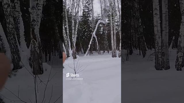 Сбежали в лес #SHORTS