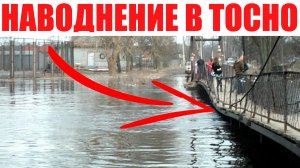 Наводнение В городе Тосно.