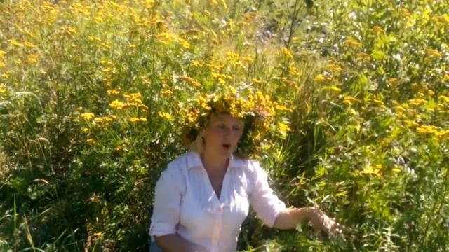 Ой ти, дівчино, з горіха зерня смотреть онлайн