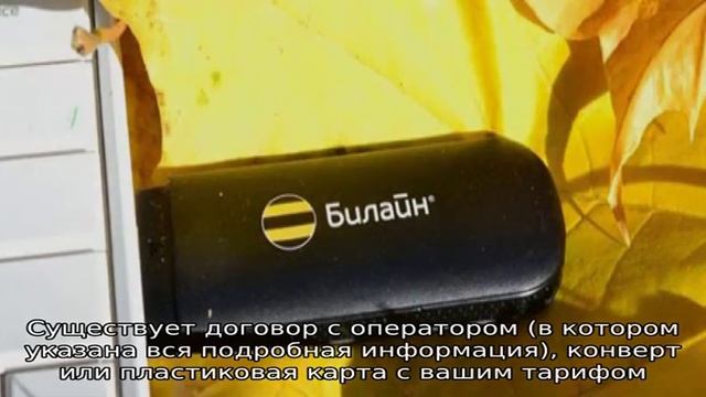 Как узнать свой номер