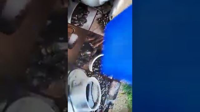 Дача день за днем. Малосольные огурцы - два рецепта. смотреть онлайн