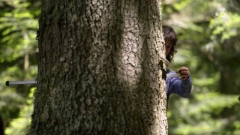 France Terres Sauvages : la foret (2019) 2-2 France 3