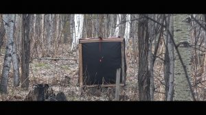 Anarchy самая бюджетная стрела из карбона