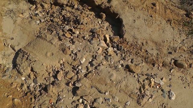 ПРОГУЛКА ПО БЕРЕГУ ОКИ, ПОИСК ОКАМЕНЕЛОСТЕЙ