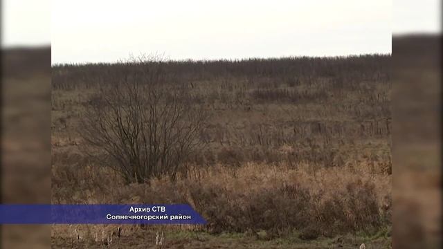 Проблема возврата долгов за аренду в Солнечногорье. 01.2014
