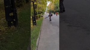 уборка парка воздуходувкой Мобил К хв 52 а премиум.