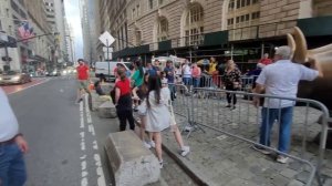 Достопримечательности Нью-Йорка)) Решили пройти всё пешком) #Нью-Йорк #сша