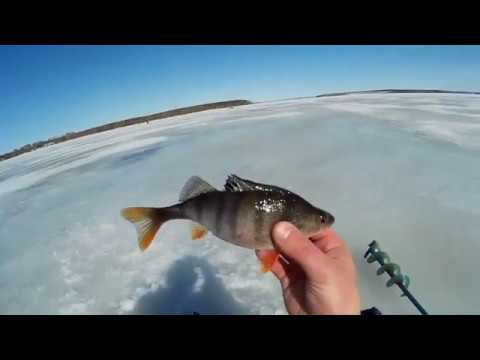 ВЕСНА,ПОСЛЕДНИЙ ЛЁД,ТЁПЛЫЕ ДЕНЬКИ,РЫБА БАСТУЕТ! смотреть онлайн