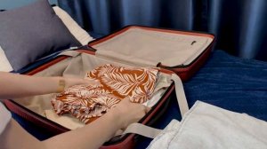 Обзор на чемодан NINETYGO Lightweight Luggage 20