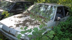 Нашли в лесу автосвалку из 90 х