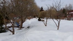 СНТ Речное