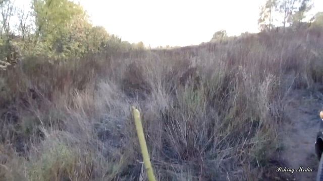 Тычки на налима поймали голавлей и щуку. Осенний сезон открыт! смотреть онлайн