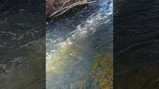#поэзиядлядуши "Всё время брать - нельзя..." ( Автор стихотворения -Анна Опарина)