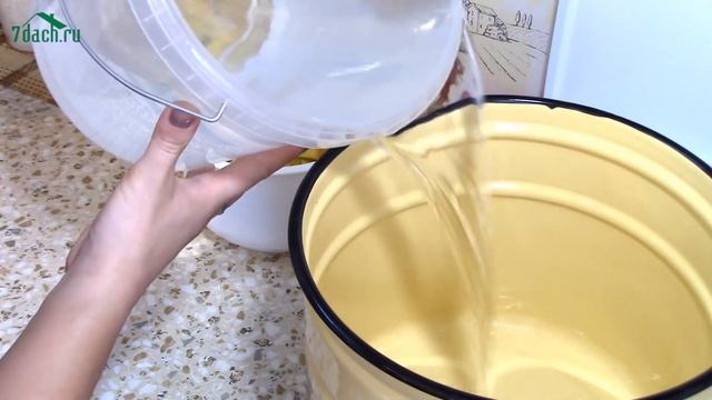 Сок из тыквы с апельсинами на зиму - 7 дач смотреть онлайн