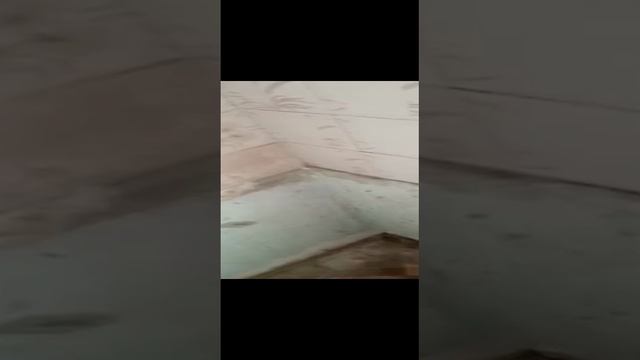 #Гостинка, своя?
