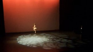 Балет "азбука танца". Сольный номер Поленьки