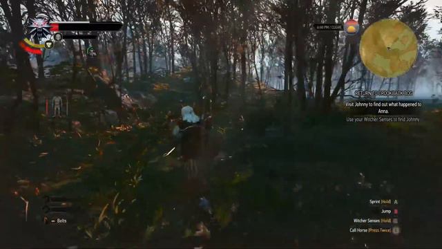 THE WITCHER 3 : WILD HUNT (WATER HAG ANNA!!!) EP. 8 смотреть онлайн