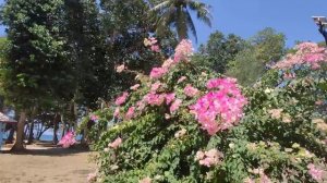 Лучший пляж в Таиланде!  Май Кхао Пхукет Таиланд парк Сиринат d varee mai khao beach