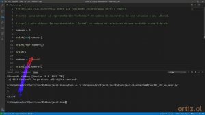Python - Ejercicio 782: Diferencia Entre las Funciones Incorporadas str() y repr()