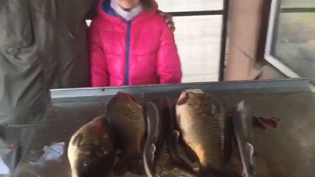 Рыбалка. смотреть онлайн