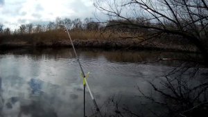 Как ловить Голавля. Рыбалка на Голавля весной на реке.