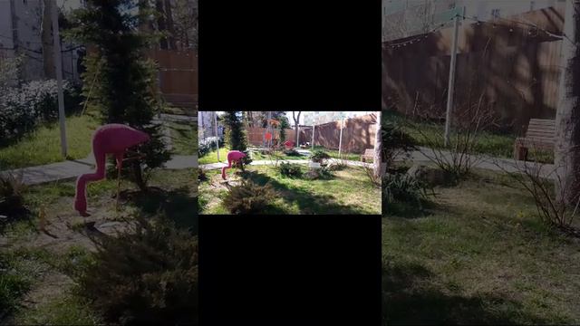 Анапа!