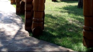 Забор из оцилиндрованного бревна /  Wooden gate