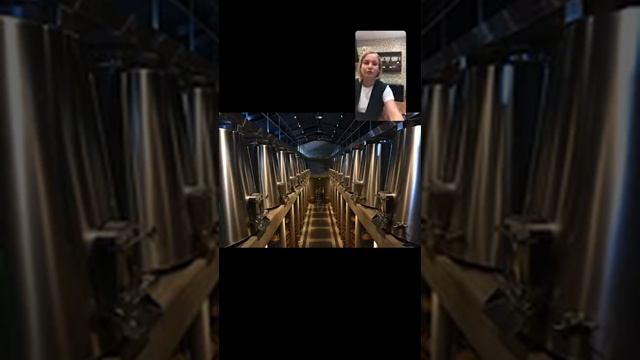 Технология производства вина смотреть онлайн