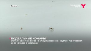 Жители одного из домов на улице Казаровской круглый год страдают из-за комаров в квартирах