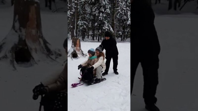 Алиса и Даша едут к зубрам