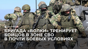 Бригада "Волки"