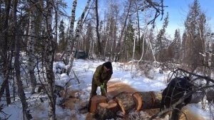 ГАЗ 53 С РЕДУКТОРОМ ГАЗ 66! Заключительный выезд на заготовку дров . Газик встает на ремонт.