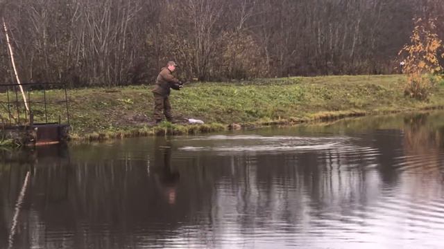 Вываживание форели РК «Фишка» Петряиха смотреть онлайн