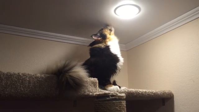 Моем потолок xD смотреть онлайн