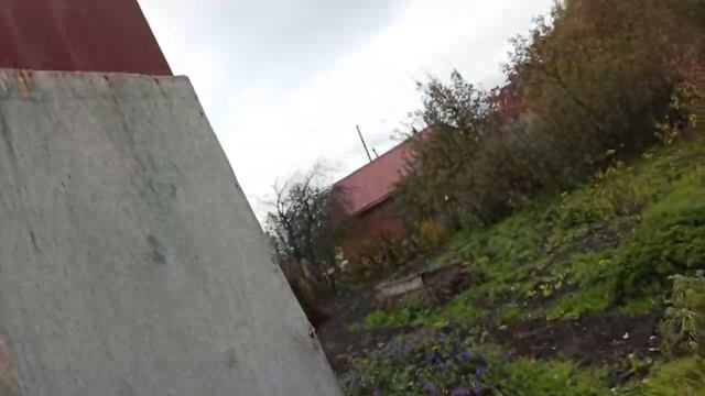 каждый день голуби улетают к облокам смотреть онлайн