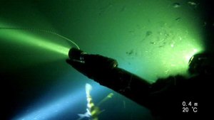 Подводная охота ночью