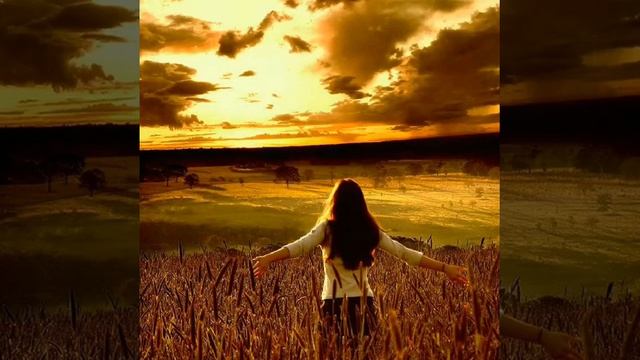 С а г ы н у..? Резеда Альмакаева смотреть онлайн