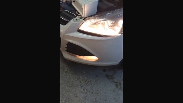 Скандинавский свет Куга смотреть онлайн