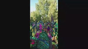 VID-20230720-WA0020.mp4