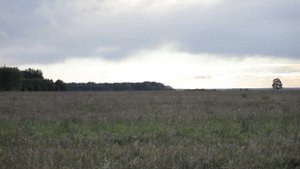 Славная Охота - на косулю с подхода