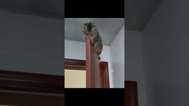 МОЁ место под солнцем) смотреть онлайн