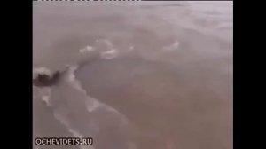 ловил рыбу а поймал крокодила!!!!!!!