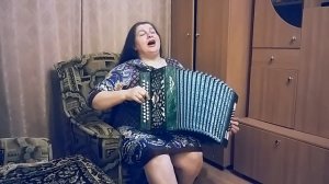 Вьюга. Гармонь.accordion