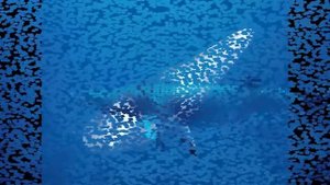 Малый полосатик