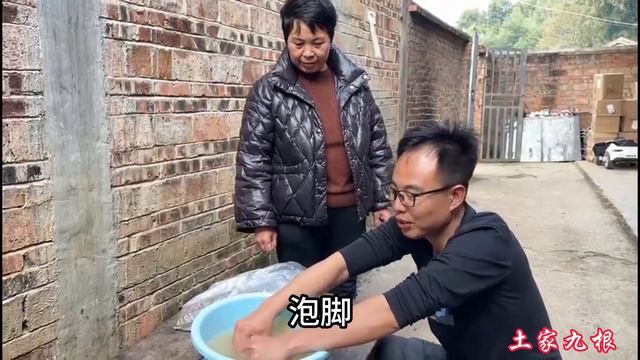 九根教大家怎样用茶枯粉洗头，山茶油的成份，洗头泡脚太好用了！