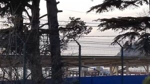 На станции Хоста.4 января.