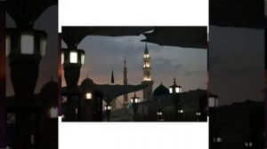 Мансур Магомедов красивый нашид 🥰