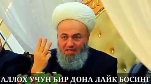 НИЛУФАР ХАМИДОВА ЗАПАЛ БУНИСИ ЭНДИ ОШИБ ТУШДИ•|СОЛИХОН ДОМЛАДАН КЕРАКЛИИ́ АТВЕТ
