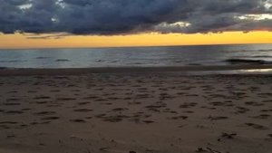 На небе только и разговоров, что о море
